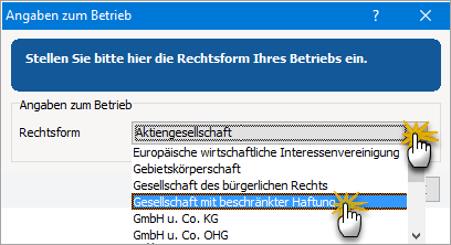 Angaben zur Rechtsform