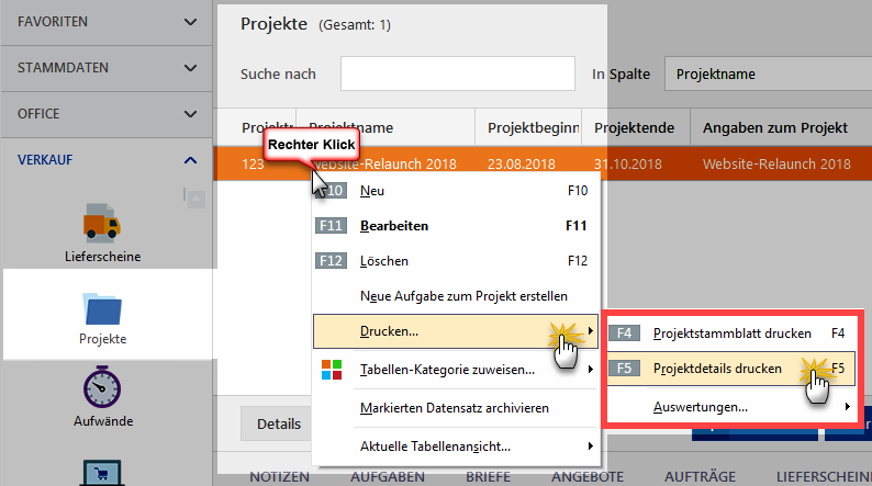 Projektdetails drucken