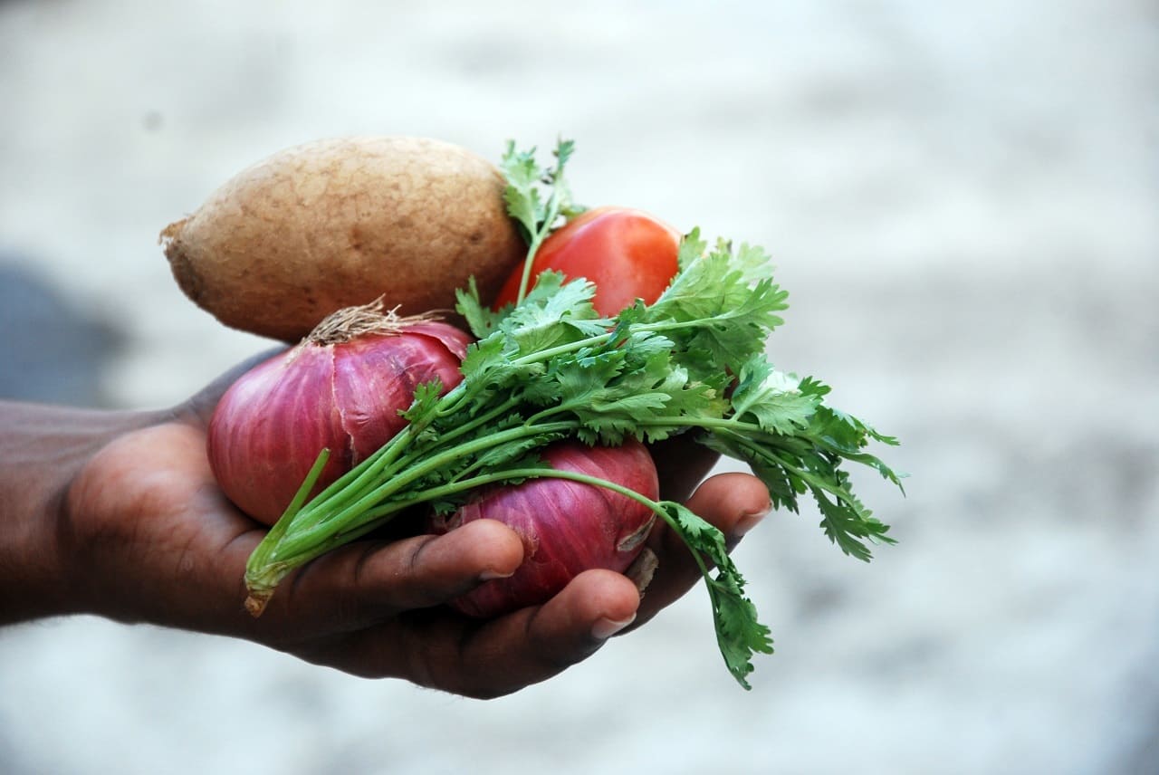 So eine tolle Sache ist der Verein foodsharing e.V.