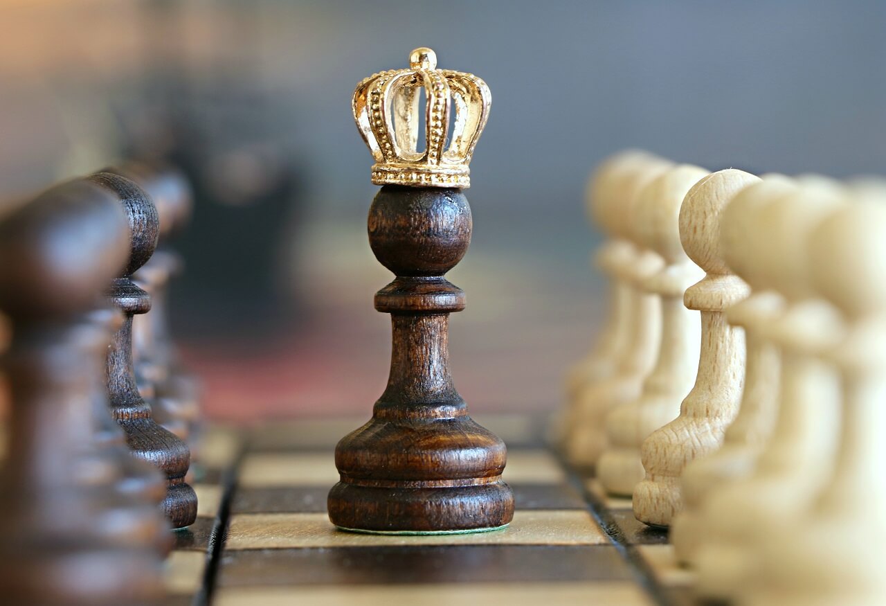 Der König auf dem Schachbrett: Was sind Ehrenmitglieder und welche Rechte haben sie?