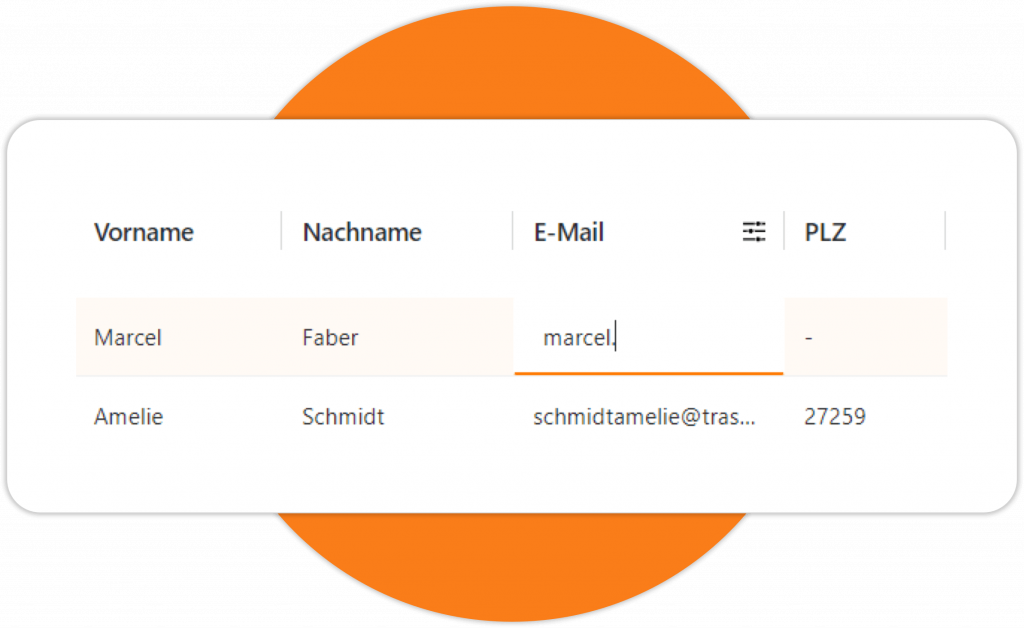 MeinVerein Listenfelder editieren
