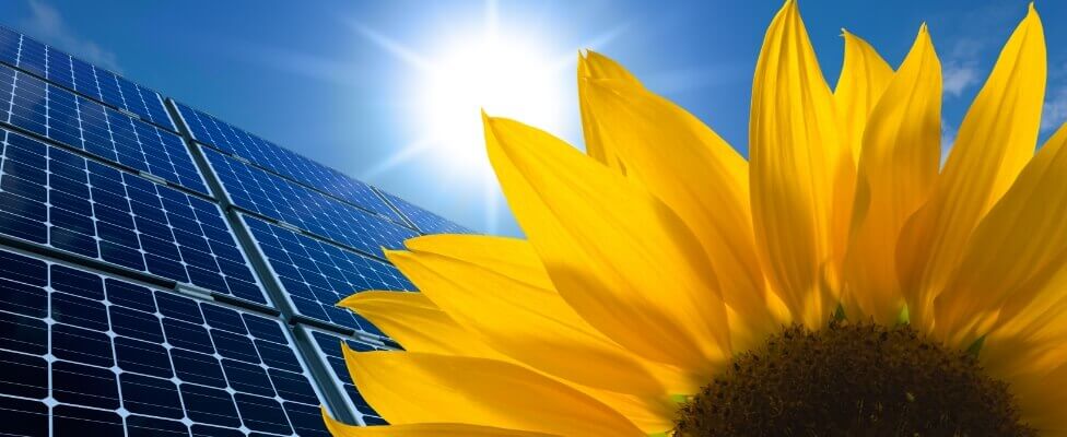 PV-Anlage & Steuern Titlebild Solarpanel