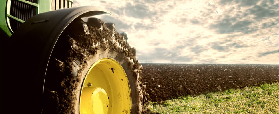 Grundsteuer landwirtschaftliche Flächen