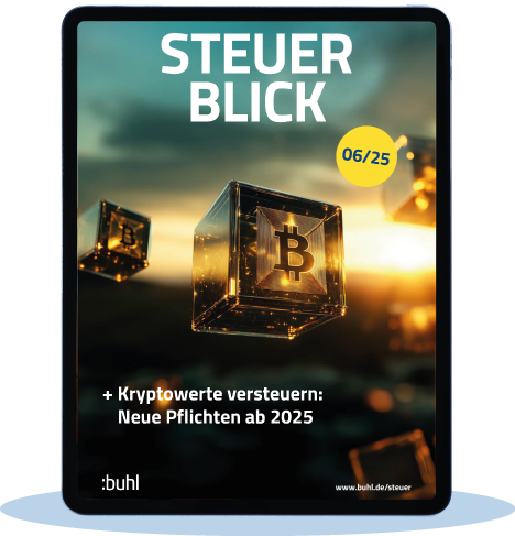 Steuer-Blick 06/25