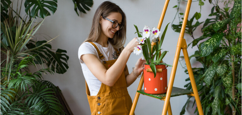 Gartenarbeit von der Steuer absetzen