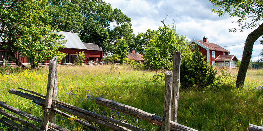 Haftungsausschluss im Immobilien-Kaufvertrag.
