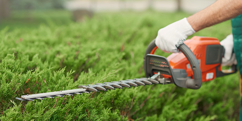 WEG: Die Gartenpflege und das Sondernutzungsrechte des Vermieters