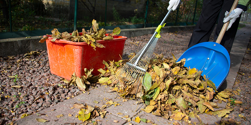 Herbstlaub: Wer muss räumen?